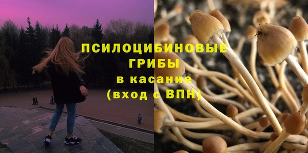 дмт Алексин