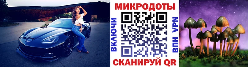 где можно купить наркотик  Бавлы  Псилоцибиновые грибы Psilocybe 